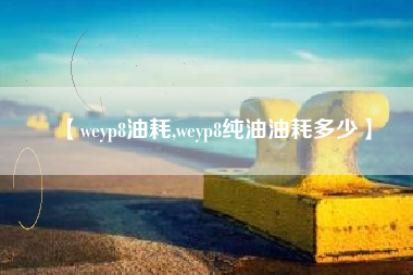 【weyp8油耗,weyp8纯油油耗多少】