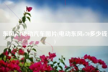 东风e70电动汽车图片(电动东风e70多少钱)