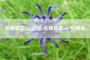 名爵新款mg7价格(名爵新款mg7价格表) 名爵新款mg7价格(名爵新款mg7价格表)