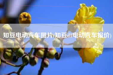知豆电动汽车图片(知豆d1电动汽车报价)