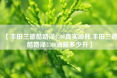 【丰田兰德酷路泽5700真实油耗,丰田兰德酷路泽5700油箱多少升】