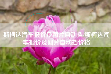 斯柯达汽车报价及图片自动挡/斯柯达汽车报价及图片自动挡价格