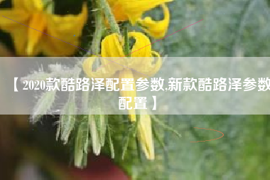 【2020款酷路泽配置参数,新款酷路泽参数配置】 【2020款酷路泽配置参数,新款酷路泽参数配置】