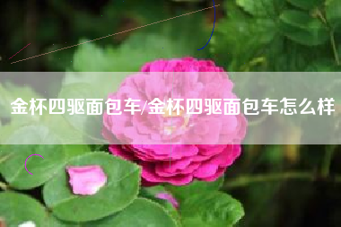 金杯四驱面包车/金杯四驱面包车怎么样 金杯四驱面包车/金杯四驱面包车怎么样