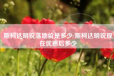 斯柯达明锐落地价是多少/斯柯达明锐现在优惠后多少