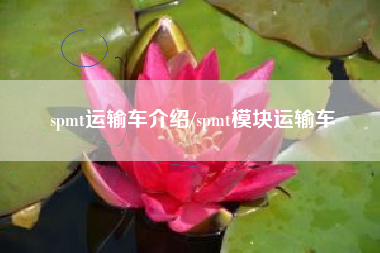 spmt运输车介绍/spmt模块运输车 spmt运输车介绍/spmt模块运输车