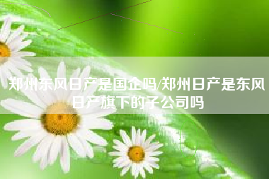 郑州东风日产是国企吗/郑州日产是东风日产旗下的子公司吗