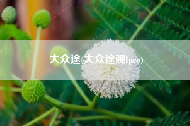 大众途(大众途观lpro)