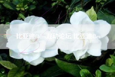 比亚迪f3dm混动论坛/比亚迪f3ev