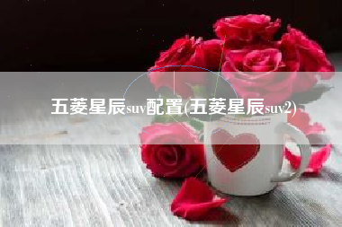 五菱星辰suv配置(五菱星辰suv2) 五菱星辰suv配置(五菱星辰suv2)