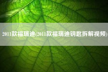 2011款福瑞迪(2011款福瑞迪钥匙拆解视频)