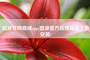 酷派官网商城app(酷派官方应用商店下载安装)