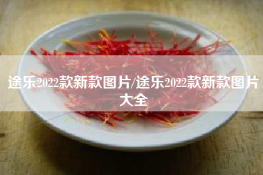 途乐2022款新款图片/途乐2022款新款图片大全