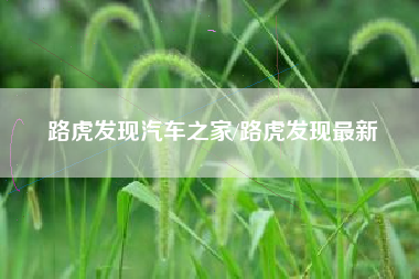 路虎发现汽车之家/路虎发现最新 路虎发现汽车之家/路虎发现最新