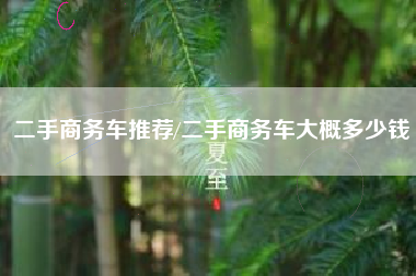 二手商务车推荐/二手商务车大概多少钱