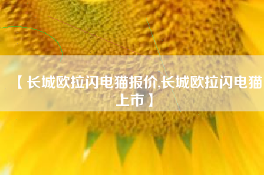 【长城欧拉闪电猫报价,长城欧拉闪电猫上市】