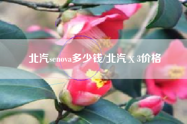 北汽senova多少钱/北汽ⅹ3价格