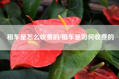 租车是怎么收费的/租车是如何收费的