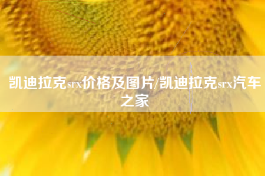 凯迪拉克srx价格及图片/凯迪拉克srx汽车之家