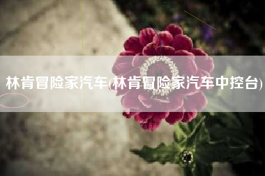 林肯冒险家汽车(林肯冒险家汽车中控台)