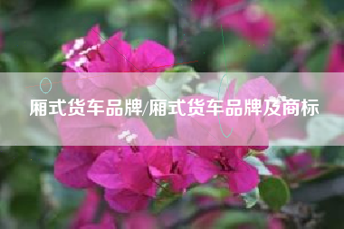 厢式货车品牌/厢式货车品牌及商标