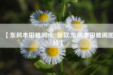 【东风本田雅阁2022新款,东风本田雅阁图片】