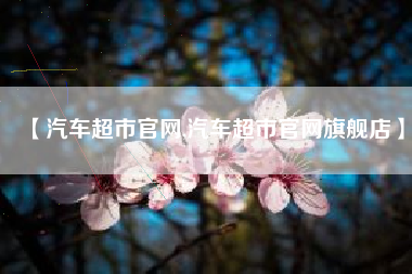 【汽车超市官网,汽车超市官网旗舰店】