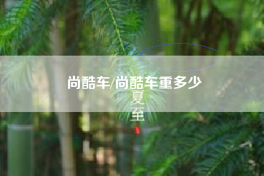 尚酷车/尚酷车重多少