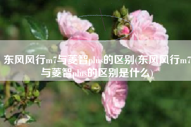 东风风行m7与菱智plus的区别(东风风行m7与菱智plus的区别是什么)