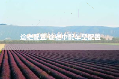 途铠配置/途铠中配车型配置