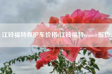 江铃福特救护车价格(江铃福特transit报价)