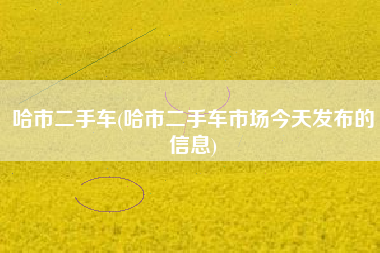 哈市二手车(哈市二手车市场今天发布的信息)