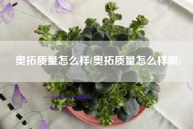奥拓质量怎么样(奥拓质量怎么样啊)