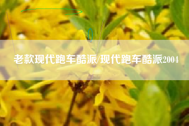 老款现代跑车酷派/现代跑车酷派2004 老款现代跑车酷派/现代跑车酷派2004