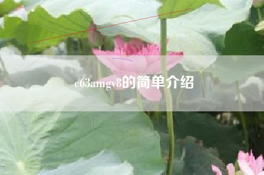 c63amgv8的简单介绍