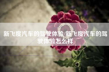 新飞度汽车的驾驶体验/新飞度汽车的驾驶体验怎么样