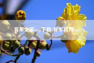 客车之家app下载(客车官方app)