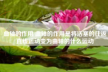 曲轴的作用/曲轴的作用是将活塞的往返直线运动变为曲轴的什么运动