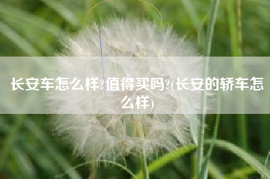 长安车怎么样?值得买吗?(长安的轿车怎么样)