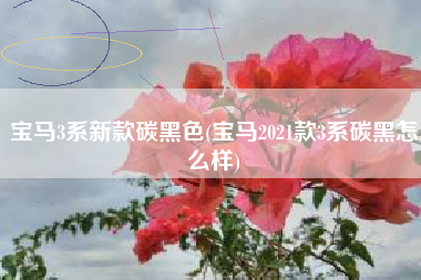 宝马3系新款碳黑色(宝马2021款3系碳黑怎么样)