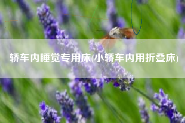 轿车内睡觉专用床(小轿车内用折叠床) 轿车内睡觉专用床(小轿车内用折叠床)