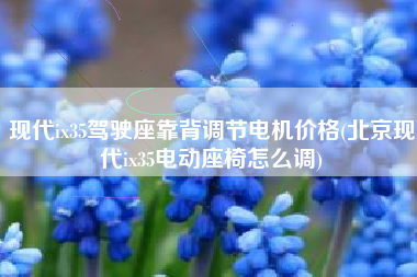 现代ix35驾驶座靠背调节电机价格(北京现代ix35电动座椅怎么调)