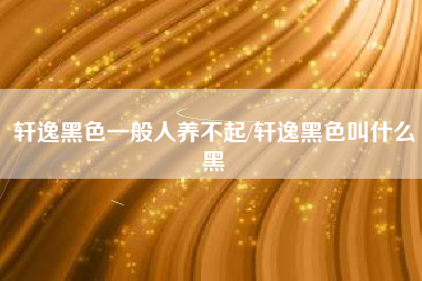 轩逸黑色一般人养不起/轩逸黑色叫什么黑