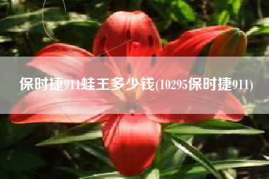 保时捷911蛙王多少钱(10295保时捷911)