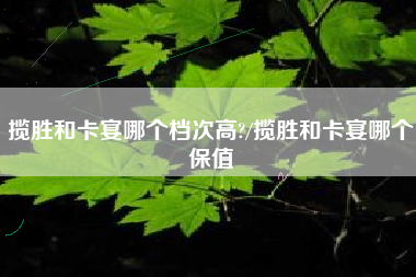 揽胜和卡宴哪个档次高?/揽胜和卡宴哪个保值