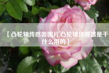 【凸轮轴传感器图片,凸轮轴传感器是干什么用的】