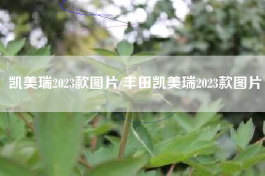 凯美瑞2023款图片/丰田凯美瑞2023款图片