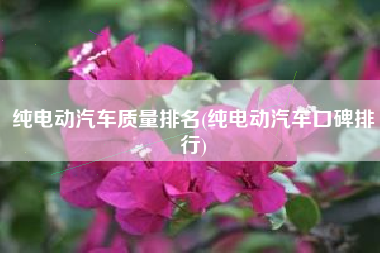 纯电动汽车质量排名(纯电动汽车口碑排行)