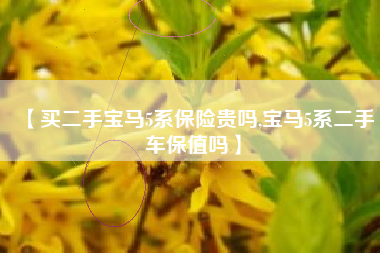 【买二手宝马5系保险贵吗,宝马5系二手车保值吗】 【买二手宝马5系保险贵吗,宝马5系二手车保值吗】