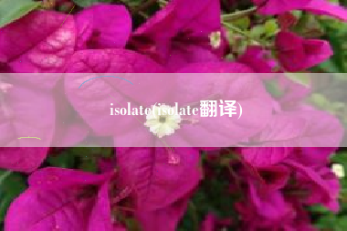 isolate(isolate翻译)